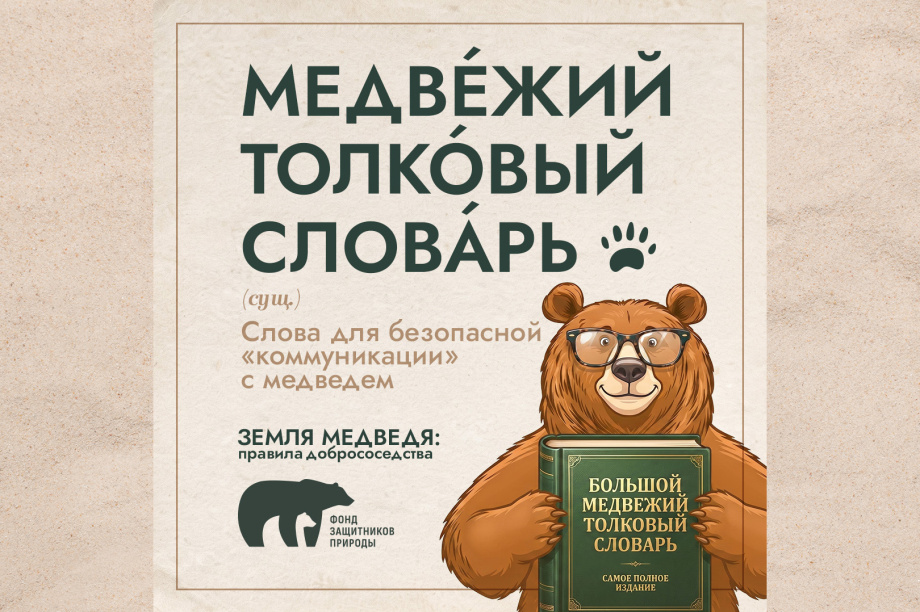 Проект «Земля медведя» выпустил толковый словарь медвежьих терминов. . Фотография 1