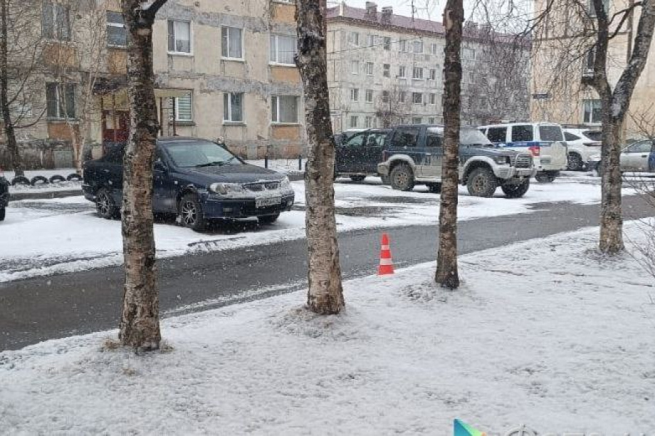 Полиция на Камчатке ищет водителя, сбившего ребенка в Елизове. Фото: Госавтоинспекция Камчатского края. Фотография 2