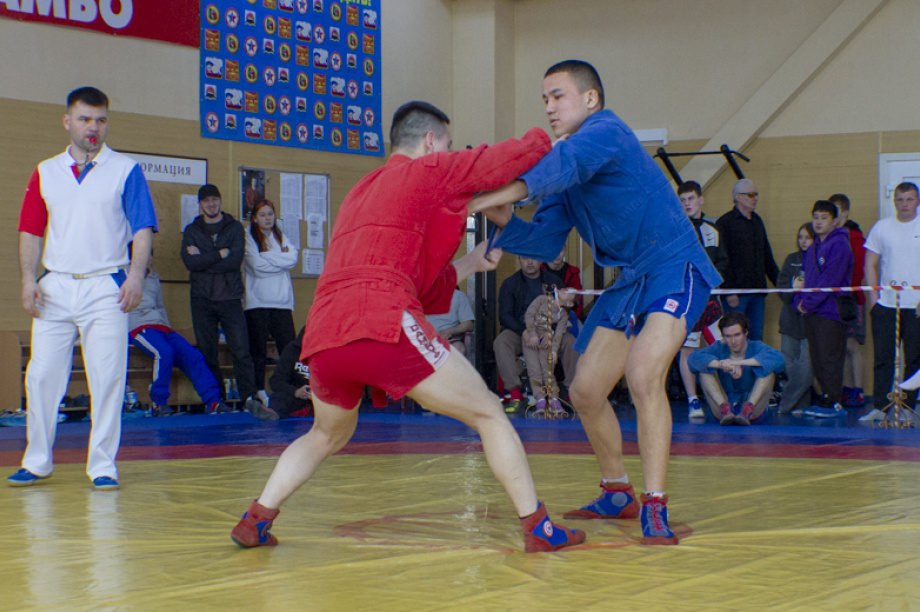 Борцы самбо на Камчатке встретились на ковре турнира ко Дню Победы. Фото: ИА «Камчатка». Фотография 9