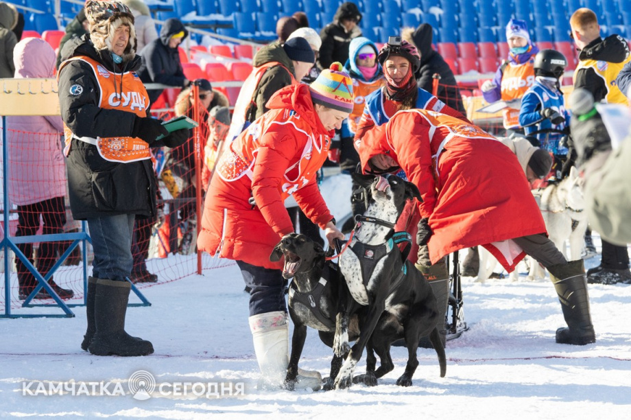 Детская гонка «Дюлин». Фоторепортаж. фото: Артем Безотечество. Фотография 14
