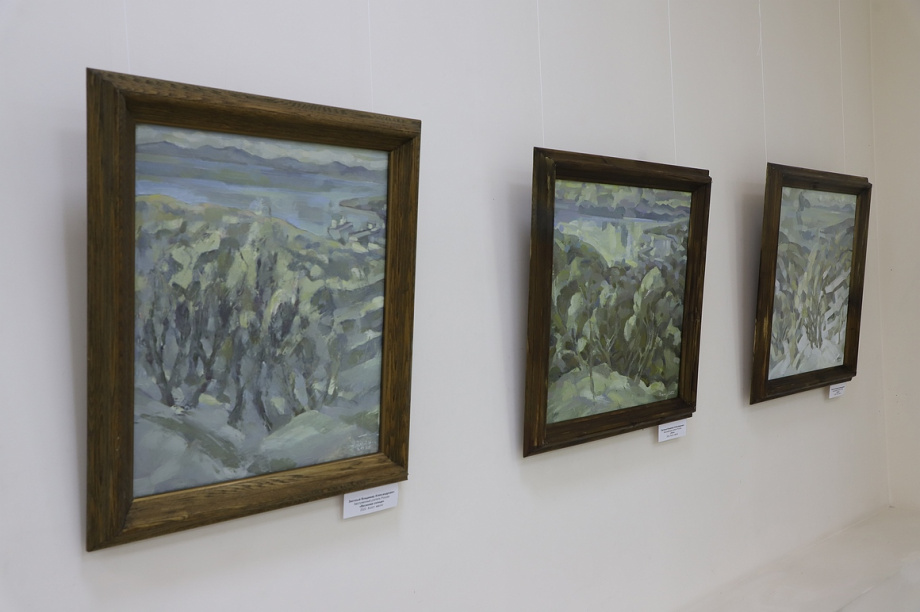 Выставка "А жизнь продолжается" открылась в художественном музее на Камчатке. Фоторепортаж. Фото: В. Гуменюк. Фотография 15