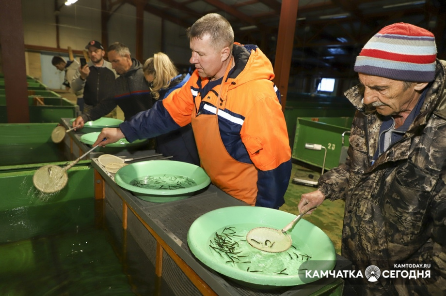 В добрый путь. Фото: Виктор Гуменюк. Фотография 22
