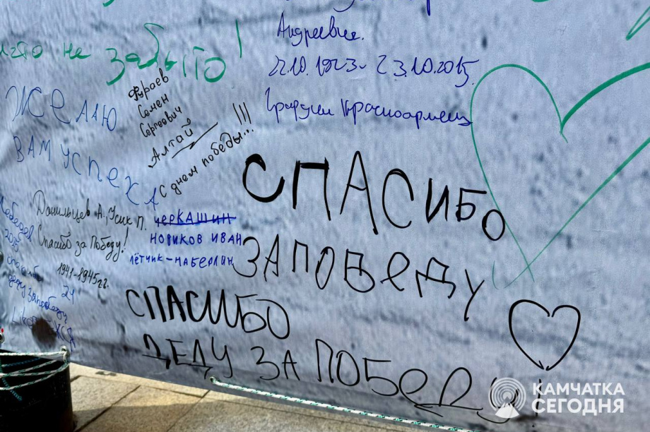 Отметить День Победы в центр Петропавловска-Камчатского пришли тысячи горожан. . Фотография 16