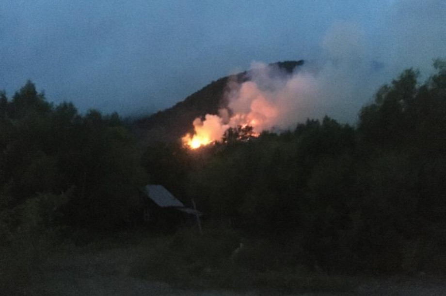 Лесной пожар зарегистрирован около села Эссо. Фото: kamgov.ru