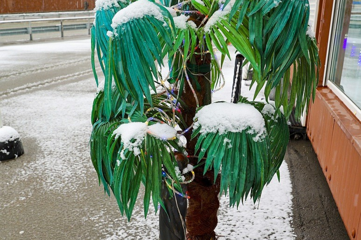 Снежный май на Камчатке. Фоторепортаж. Фото: Виктор Гуменюк. Фотография 9