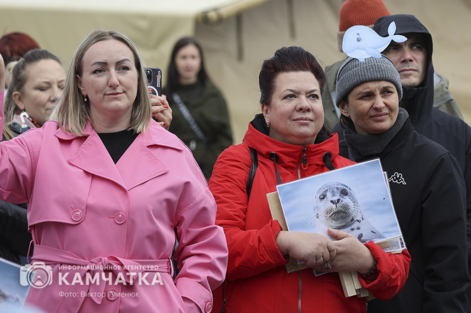 В Камчатском крае состоялся экологический фестиваль «Море жизни» (фоторепортаж). Фото: ИА «Камчатка»\Виктор Гуменюк. Фотография 9