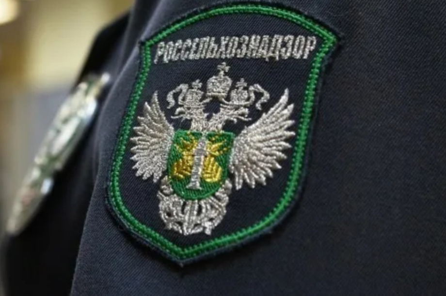 С Камчатки экспортировано 14 тысяч тонн рыбы и кормовой муки. Фото из соцсетей