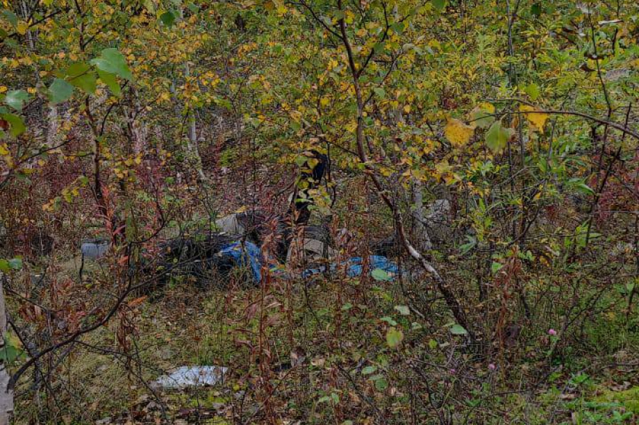  В лесополосе Елизовского района неизвестные устроили свалку. Фото: Экология Камчатка. Фотография 6