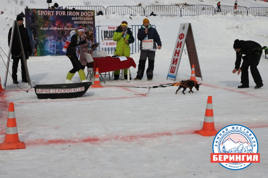 «Снежный путь – 2021». Фото: Виктор Гуменюк. Фотография 94