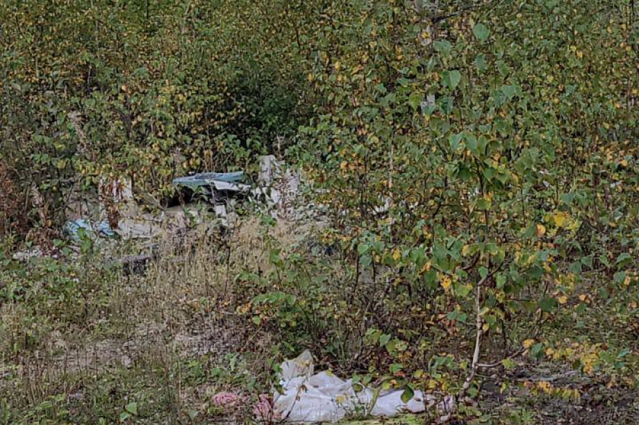  В лесополосе Елизовского района неизвестные устроили свалку. Фото: Экология Камчатка. Фотография 1
