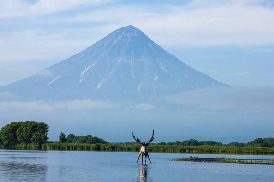 Заповедная Камчатка: 29 лет в списке ЮНЕСКО. Фото: Влада Антоньян, Сергей Краснощёков, Игорь Шпиленок, Евгения Волкова.. Фотография 3