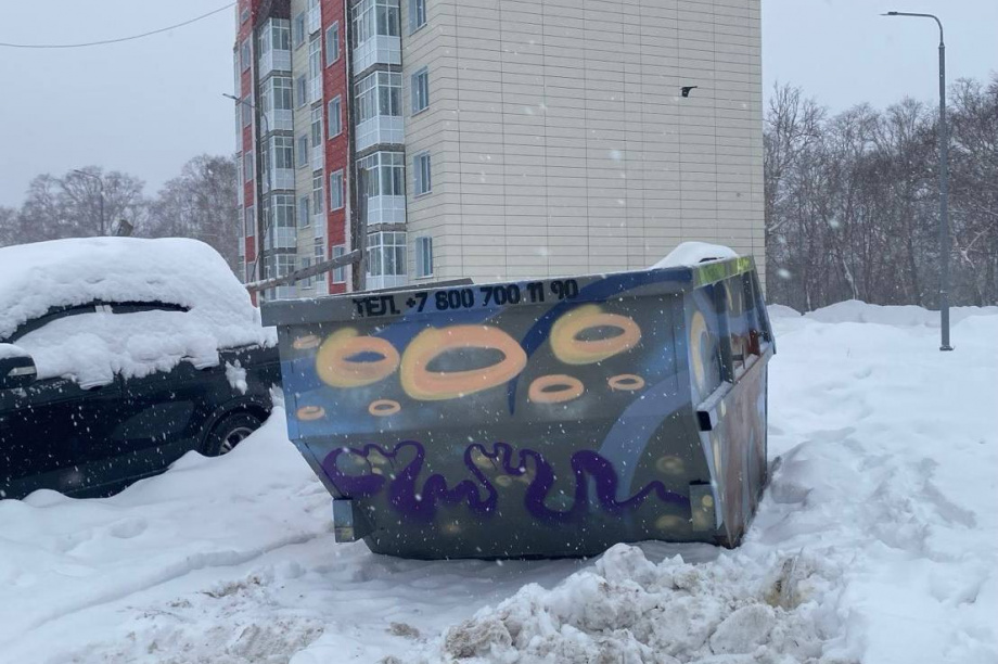 В Вилючинске на Камчатке установили специальные мусорные контейнеры для живых елей. . Фотография 2