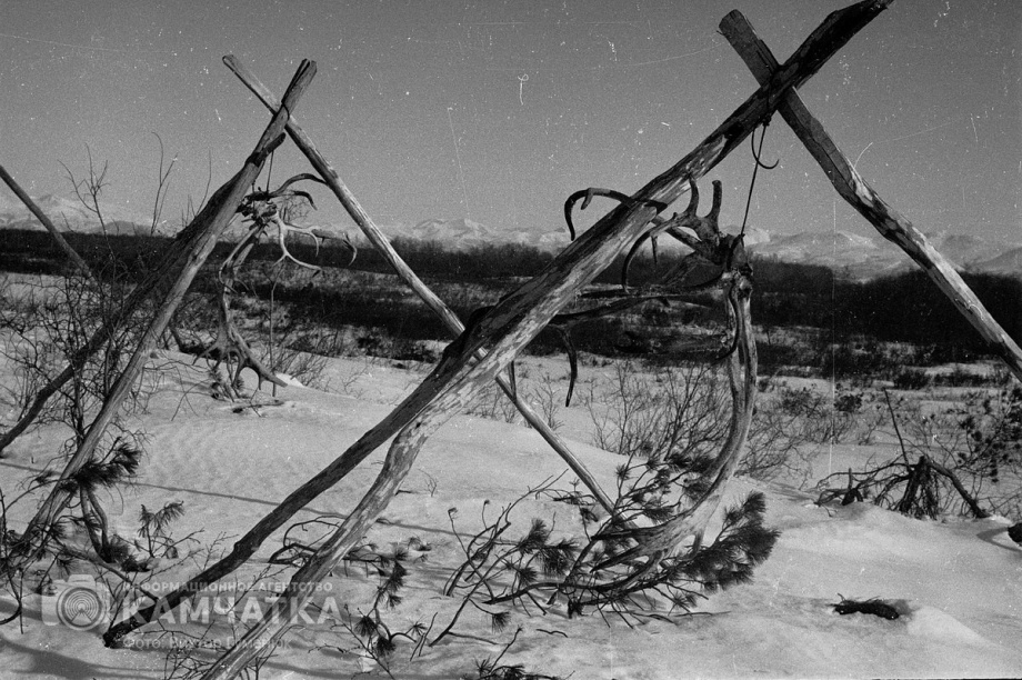 Международный день коренных народов мира сегодня отмечает Камчатка. Фото: Виктор Гуменюк. Фотография 34