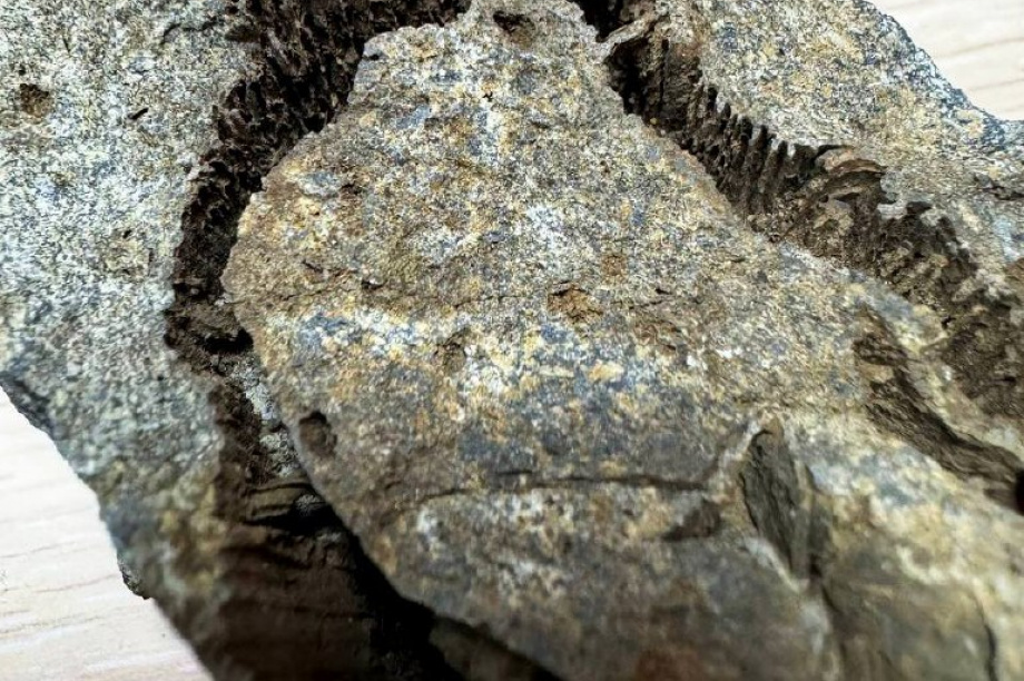 Горный массив Вачкажец был морским дном миллионы лет назад. . Фотография 1