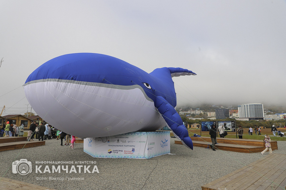 В Камчатском крае состоялся экологический фестиваль «Море жизни» (фоторепортаж). Фото: ИА «Камчатка»\Виктор Гуменюк. Фотография 40