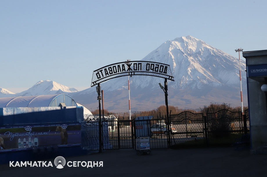 Эксперимент по ограничению провоза икры стартовал на Камчатке. Фоторепортаж. Фото: Виктор Гуменюк\ИА "Камчатка". Фотография 1