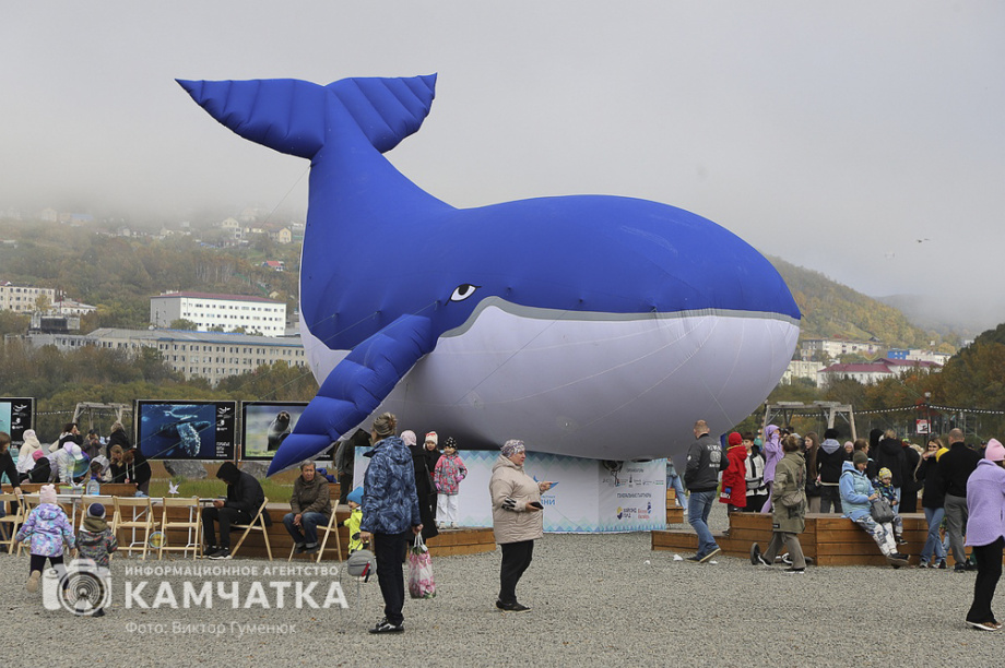 В Камчатском крае состоялся экологический фестиваль «Море жизни» (фоторепортаж). Фото: ИА «Камчатка»\Виктор Гуменюк. Фотография 50