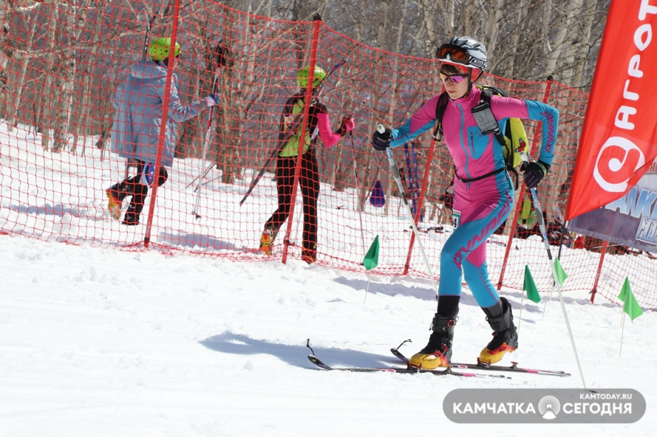 Ски-альпинисты завешают сезон. Фото: Виктор Гуменюк / информационное агентство "Камчатка". Фотография 37