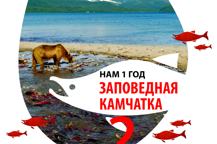 Кроноцкий заповедник приглашает на День открытых дверей 2 ноября. Фото: Кроноцкий государственный заповедник. Фотография 7
