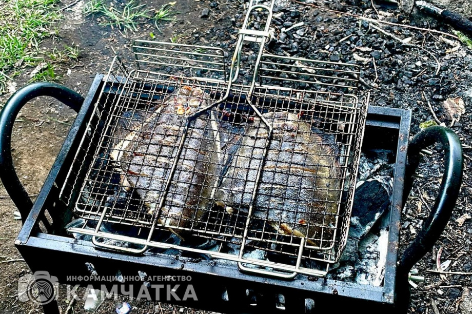 Городской пикник «Провожаем лето вместе» проведут на Камчатке в субботу. фото: ИА "Камчатка"