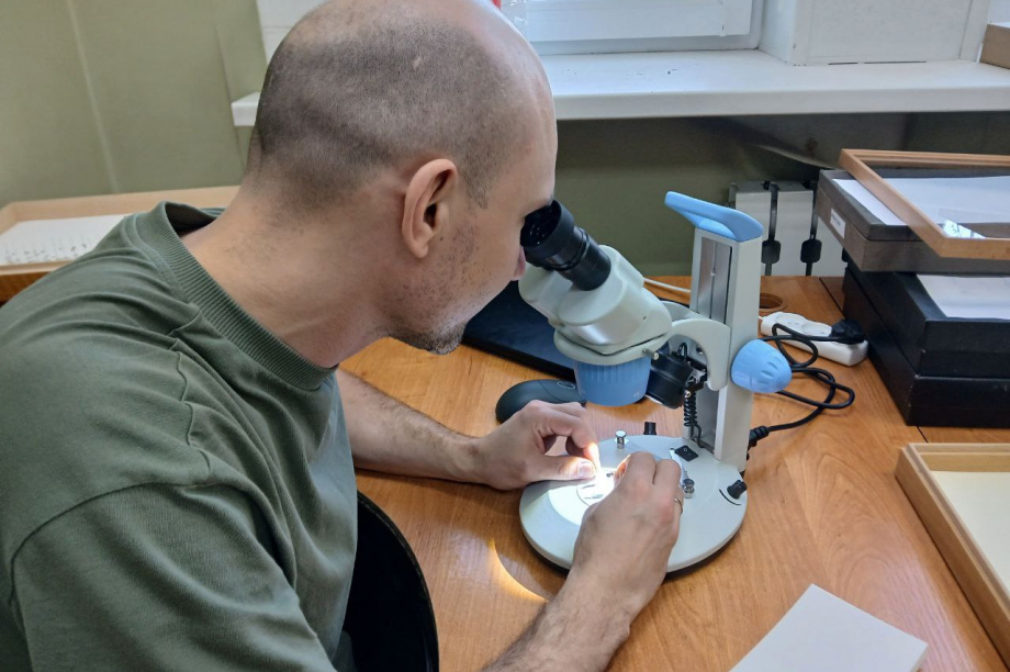 Научные исследования заповедников «Кроноцкий» и «Заповедная Мордовия»: сотрудничество на благо природы. Фото: пресс-служба «Кроноцкий государственный заповедник». Фотография 9