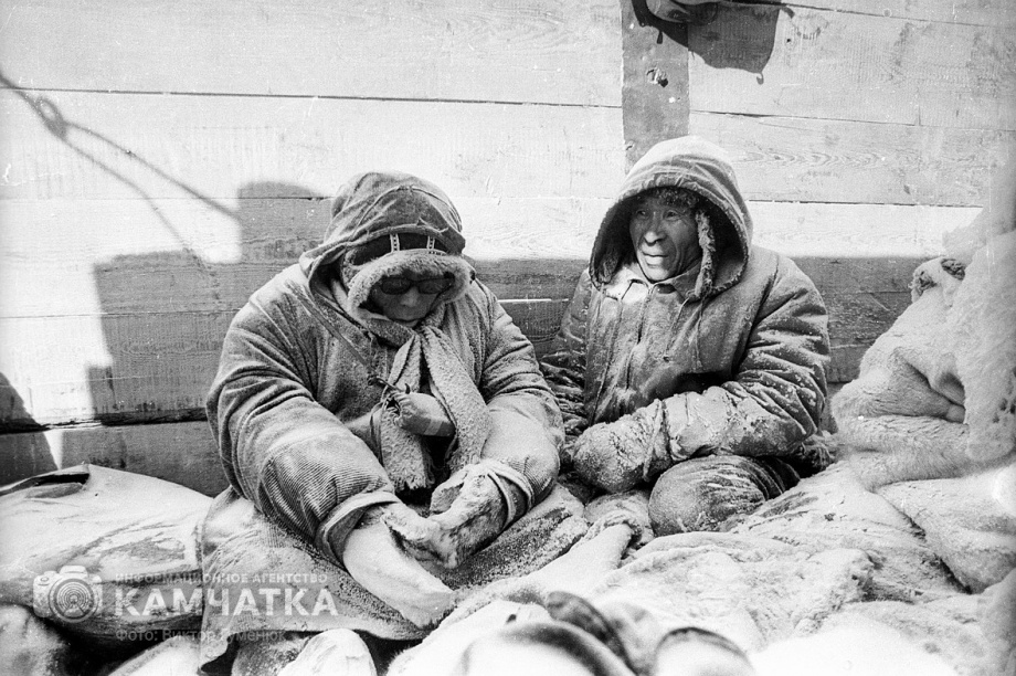 Самая северная территория Камчатки отмечает День образования округа. Фото: Виктор Гуменюк (архив). Фотография 6