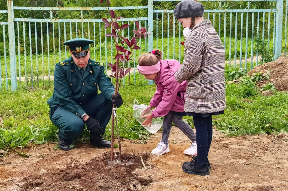 По нацпроекту Президента: школу № 26 в Петропавловске озеленили. kamgov.ru. Фотография 7