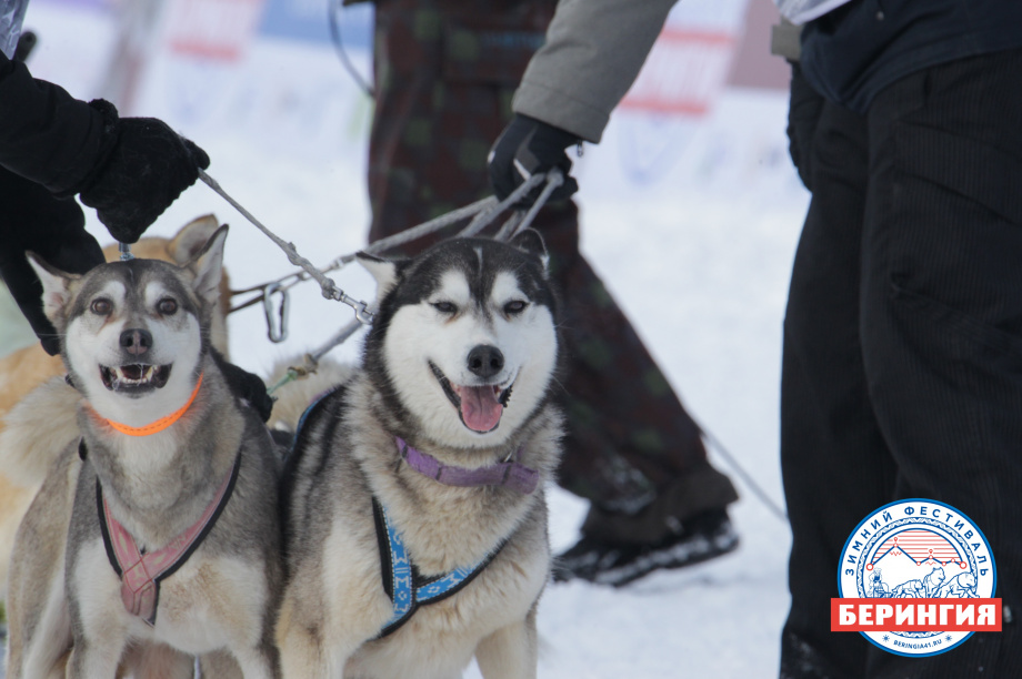 «Дюлин-2021». Фото: Виктор Гуменюк. Фотография 71