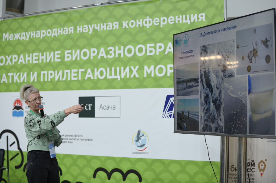 На Камчатке международная научная конференция стартовала с обсуждения красных приливов. Фото: kamgov.ru. Фотография 5