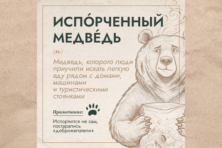 Проект «Земля медведя» выпустил толковый словарь медвежьих терминов. . Фотография 5