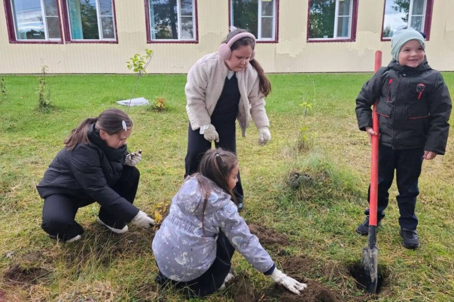 В камчатском поселке Атласово дети высадили яблони в школьном дворе. Фото: kamgov.ru