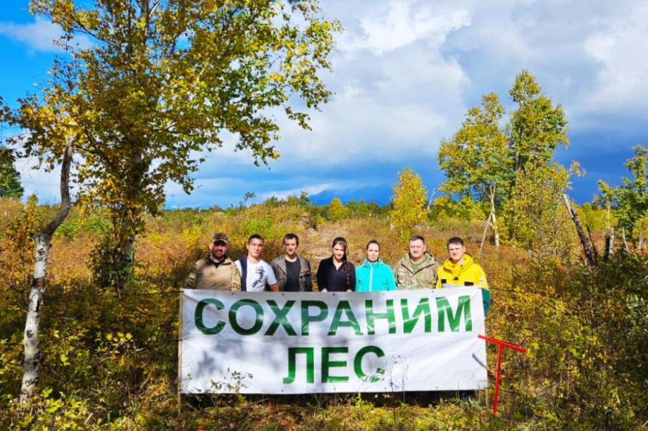 В Елизовском районе Камчатки высадили 14 000 саженцев берёз в рамках акции «Сохраним лес». Фото: kamgov.ru. Фотография 2