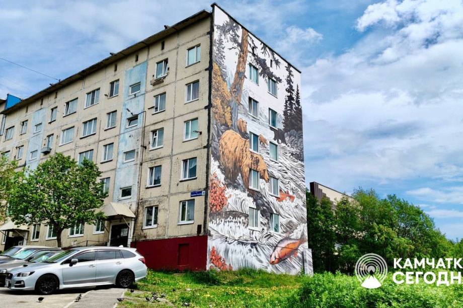 Первые четыре мурала появились в Петропавловске-Камчатском. Фото: ИА "Камчатка". Фотография 1