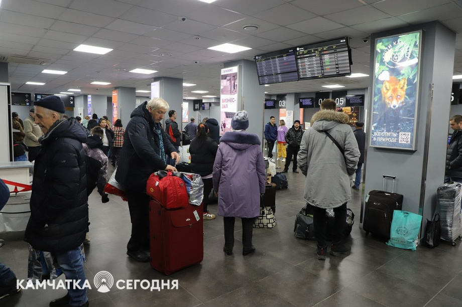 Эксперимент по ограничению провоза икры стартовал на Камчатке. Фоторепортаж. Фото: Виктор Гуменюк\ИА "Камчатка". Фотография 7