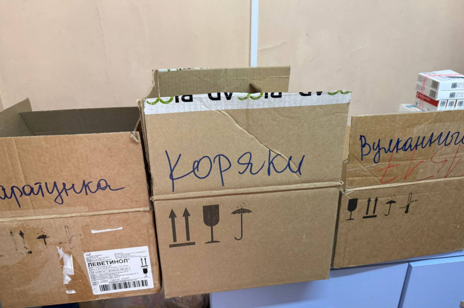 Для елизовских льготников на Камчатке закупили 30 тысяч лекарственных препаратов. Фото: kamgov.ru. Фотография 3