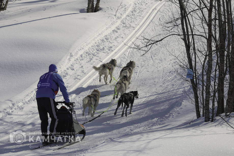«Елизовский спринт» — 15 лет традиций и азарта!. Фото: «Камчатка Сегодня» \ Игорь Сафончик. Фотография 3