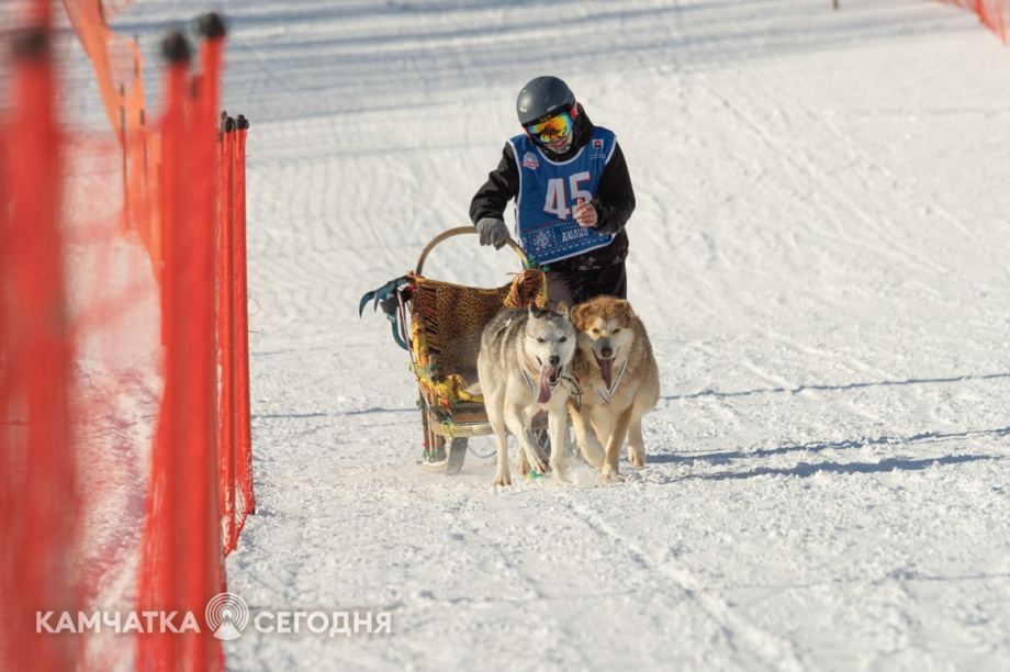 Детская гонка «Дюлин». Фоторепортаж. фото: Артем Безотечество. Фотография 38