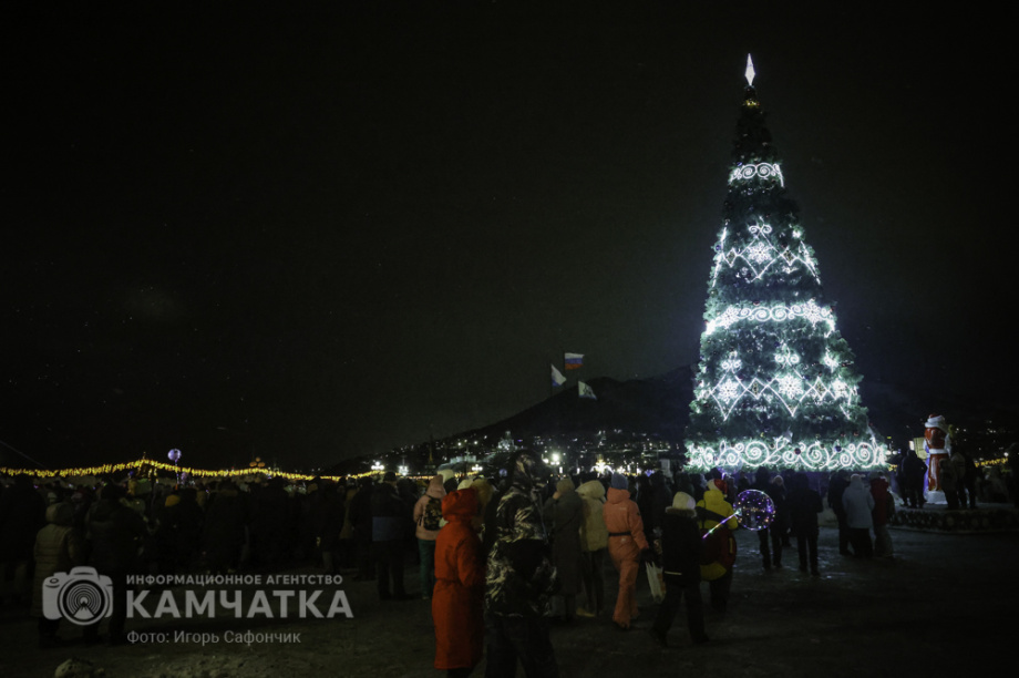 Новогодняя ночь в Петропавловске-Камчатском (фоторепортаж). . Фотография 34