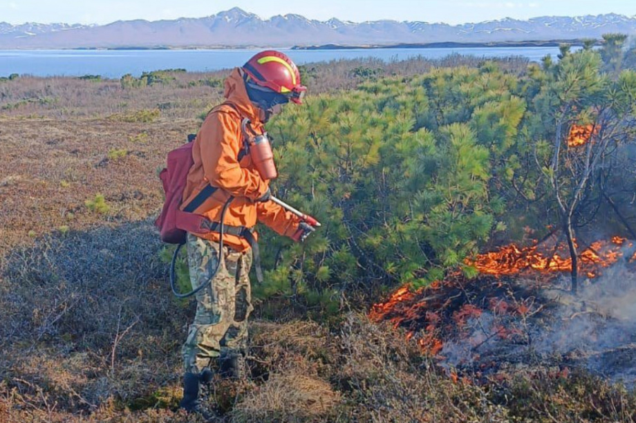 Горячий сезон у пожарной лесоохраны на Камчатке в разгаре. фото: kamgov.ru. Фотография 1