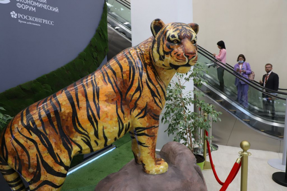 Восточный экономический форум. Фоторепортаж. Фото: Виктор Гуменюк\ИА "Камчатка". Фотография 42