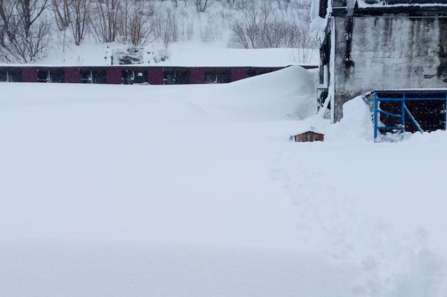 Приют для бездомных собак на Камчатке просит помощи. . Фотография 2