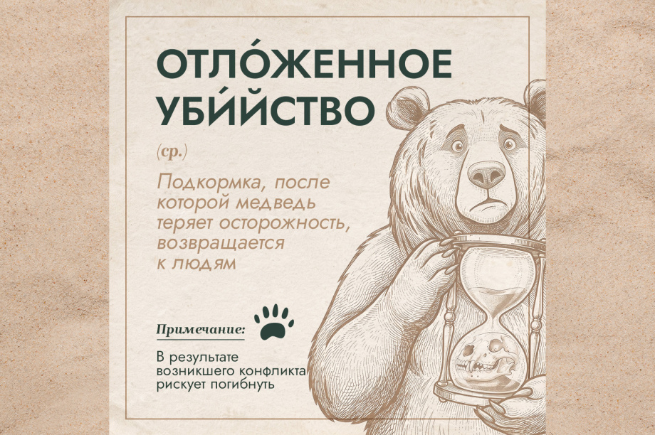 Проект «Земля медведя» выпустил толковый словарь медвежьих терминов. . Фотография 6