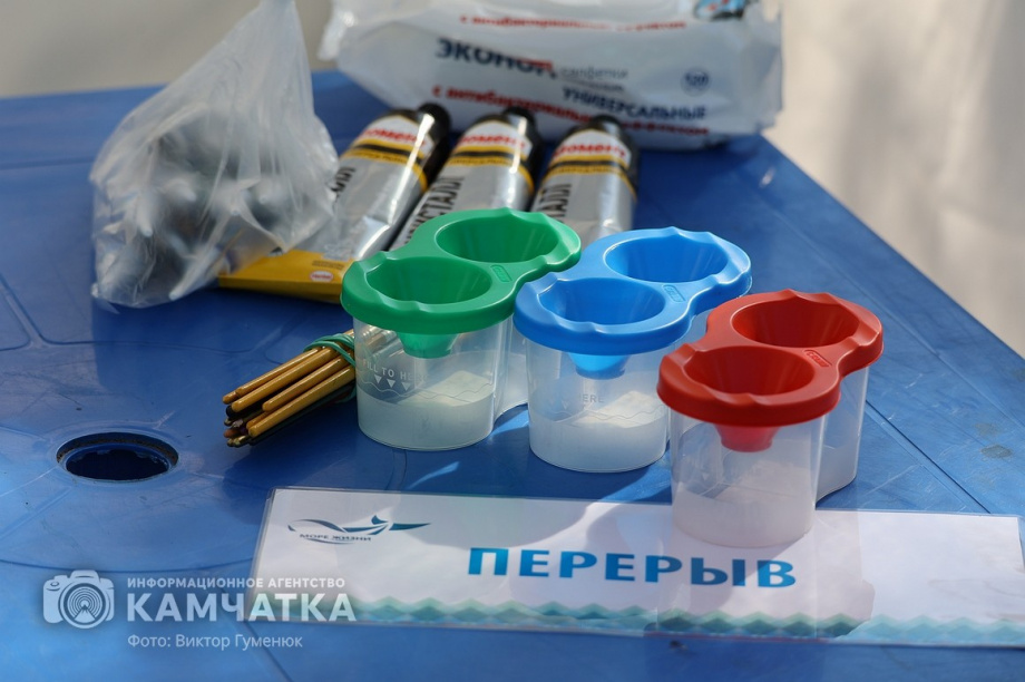 Экологический праздник «Море жизни» на Никольской сопке  в Петропавловске (фоторепортаж). . Фотография 4
