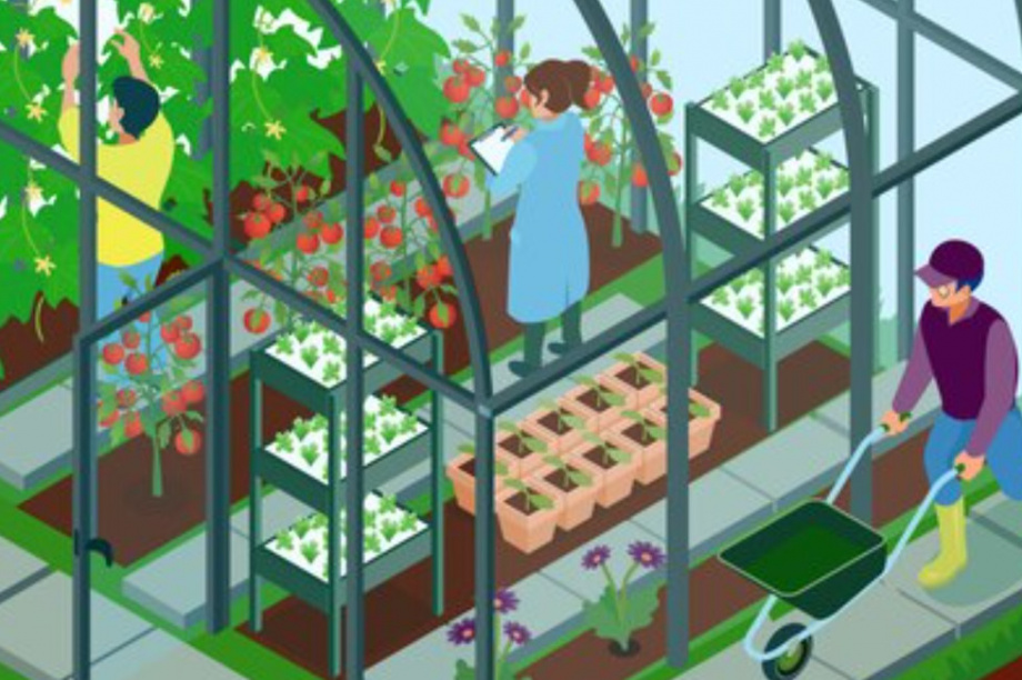 Кадры решают всё: руководство нового тепличного комплекса на Камчатке предлагает работу елизовчанам. Изображение от Freepik