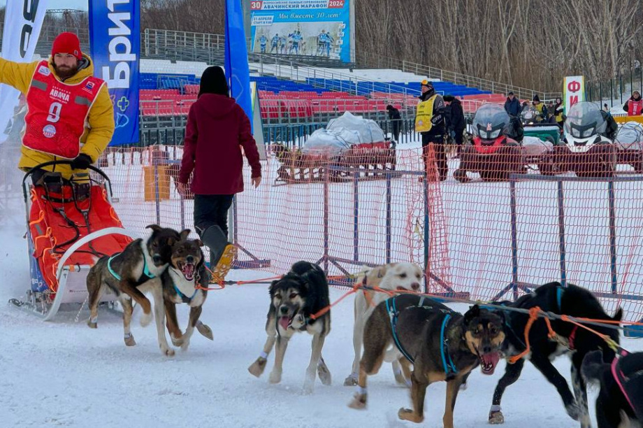 Гонка «Берингия.Авача-2025» стартовала. Впереди 300 километров пути. Фото организаторов. Фотография 6