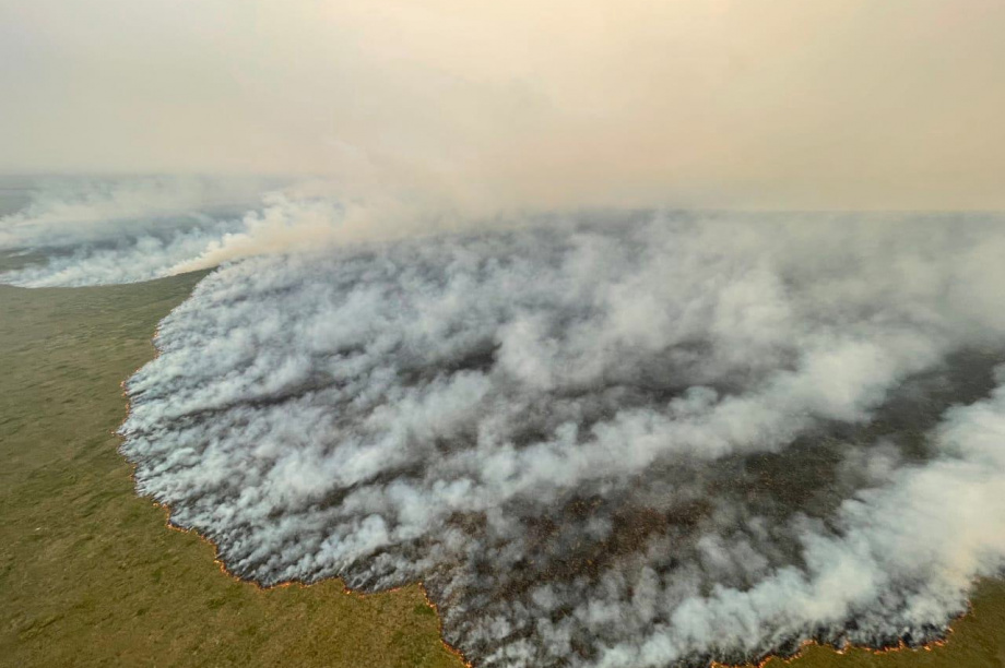 50 лесных пожаров потушили за год на Камчатке. Фото: kamgov.ru