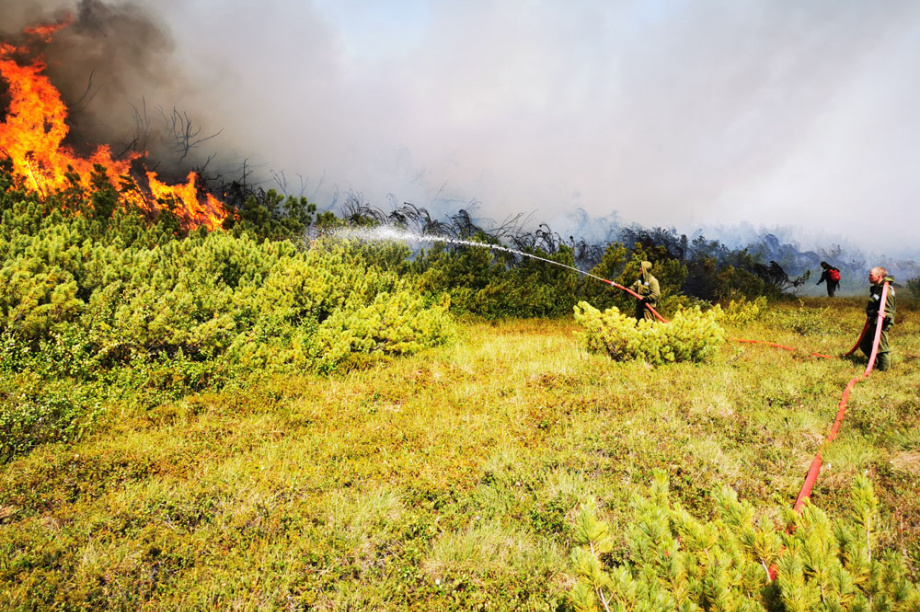 В Корякском заповеднике горели 32 тысячи гектаров леса. Фото: Максим Запорожец. Фотография 12