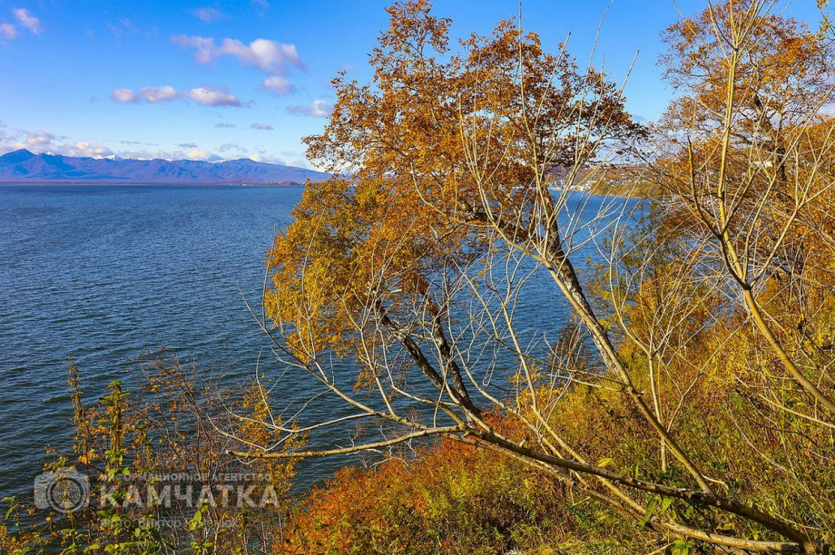 Золотая осень в столице Камчатки. Фоторепортаж. Фото: Виктор Гуменюк. Фотография 44