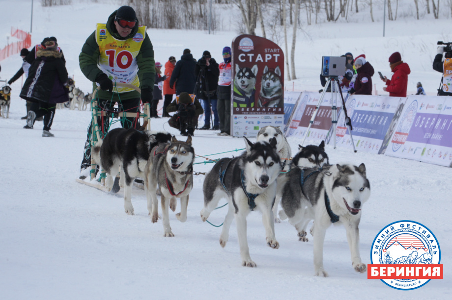 «Берингия-2021». Фото: Виктор Гуменюк. Фотография 78
