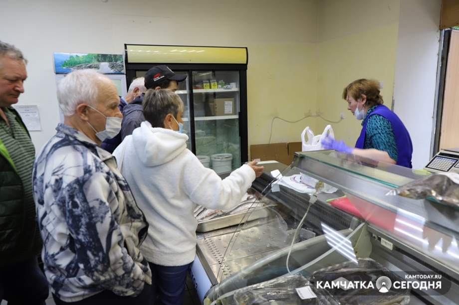 Охлажденная горбуша на прилавках Камчатки. Фото: Виктор Гуменюк / информационное агентство "Камчатка". Фотография 8